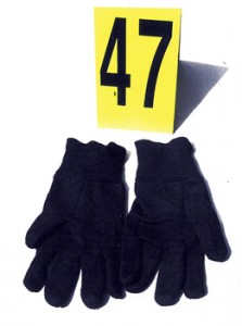Pair of gloves with evidence marker